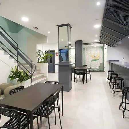 Base - Adults Only San Antonio Abad
